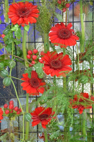 arrangement flowers red