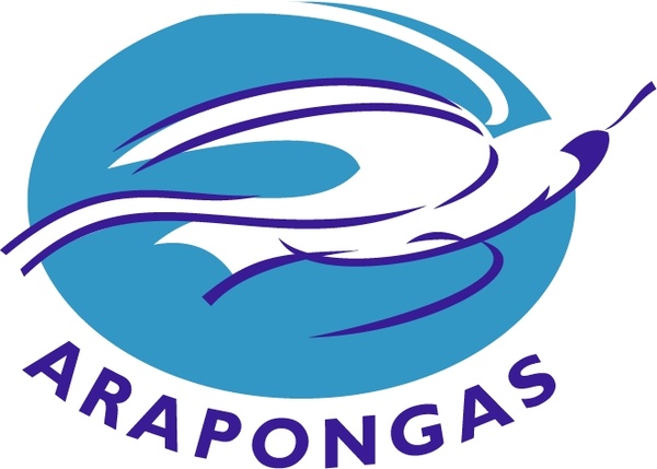 associacao atletica arapongas de arapongas pr 