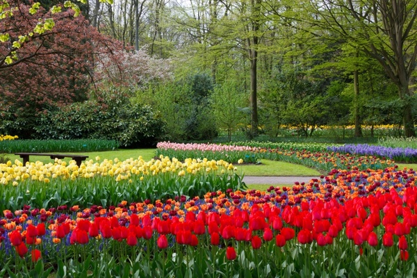 at keukenhof gardens 