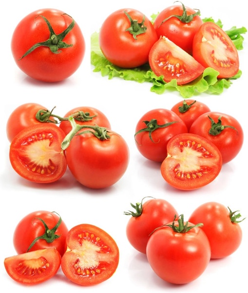 attractive tomato 01 hd picture