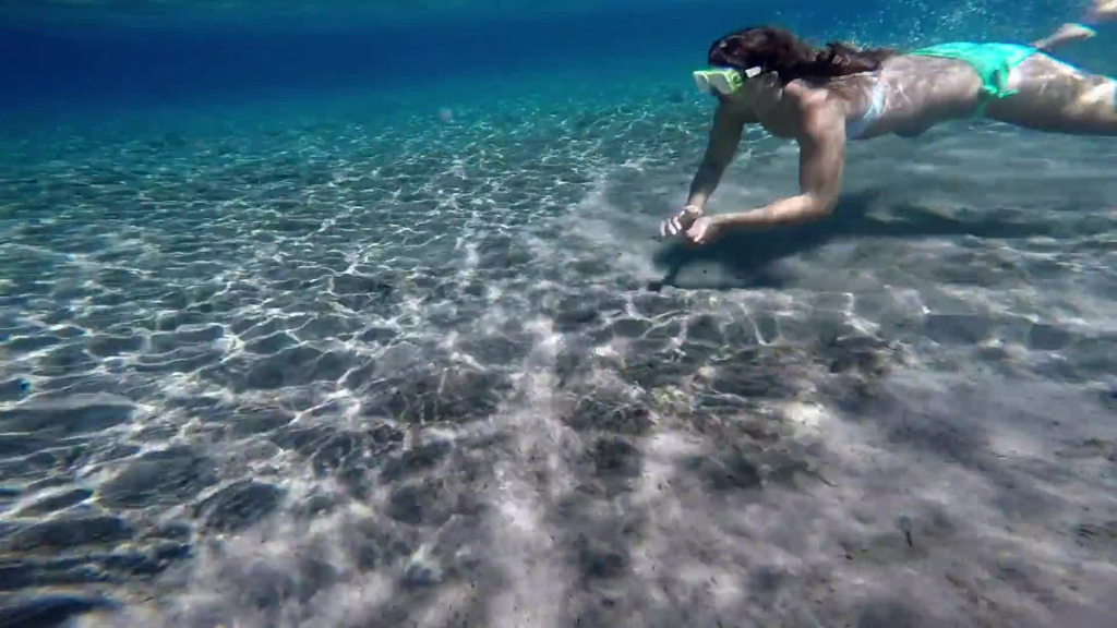 attractive woman diving in clear sea