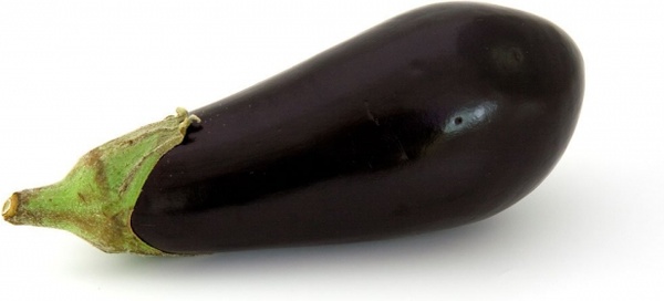 aubergine bio diet