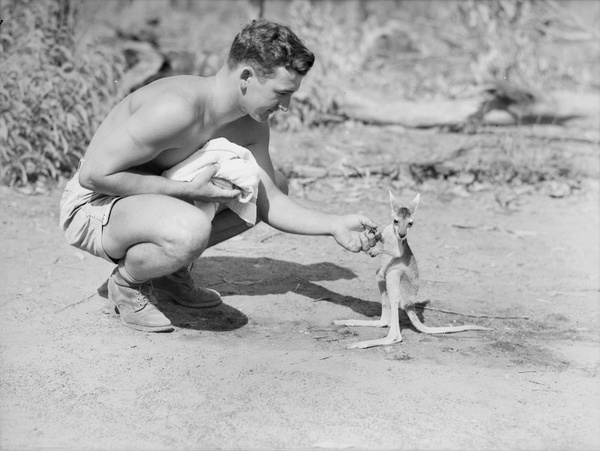 australia black and white 1942