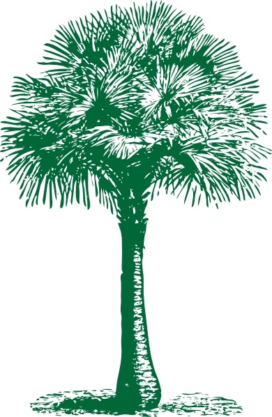 Australian Fan Palm clip art