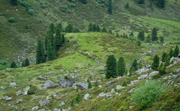 austria landscape valley