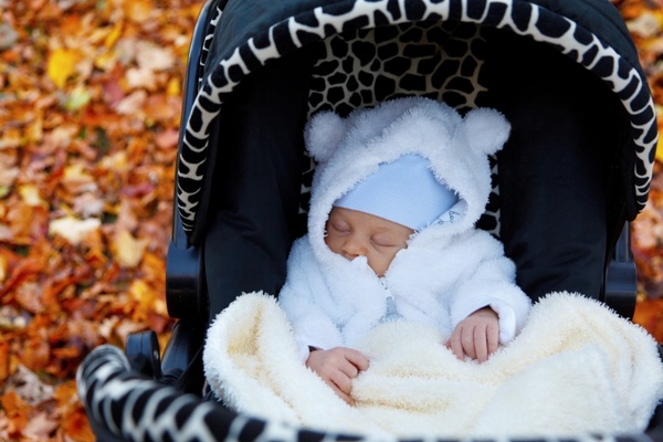 autumn baby buggy 