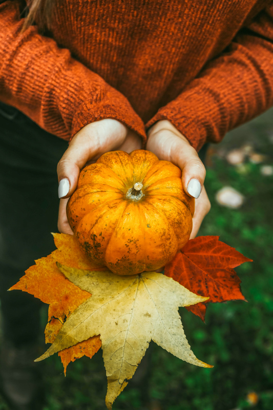 autumn backdrop hand holding pumpkin leaves