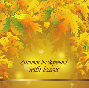 autumn background with leaves vector