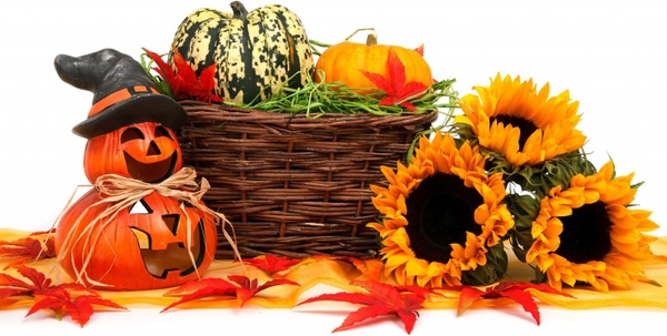 autumn basket celebration