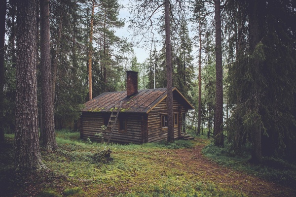 autumn building cabin conifer daytime dwelling