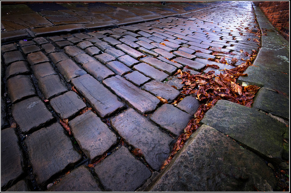 autumn cobbles 