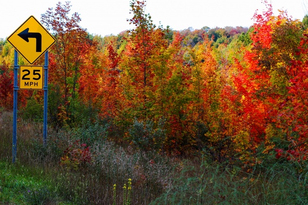 autumn color fall foliage forest lake landscape