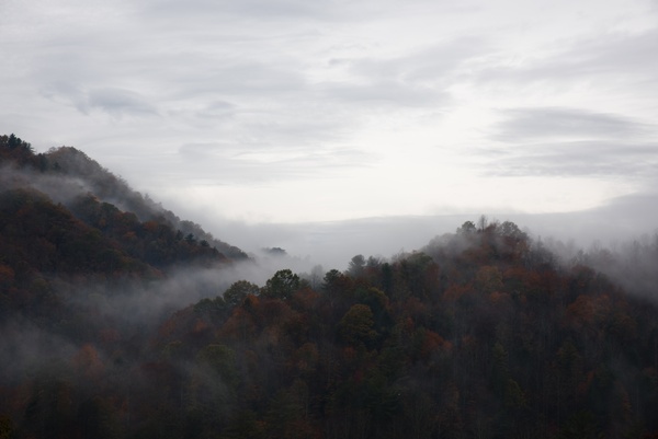 autumn dawn fall fog forest landscape mist morning