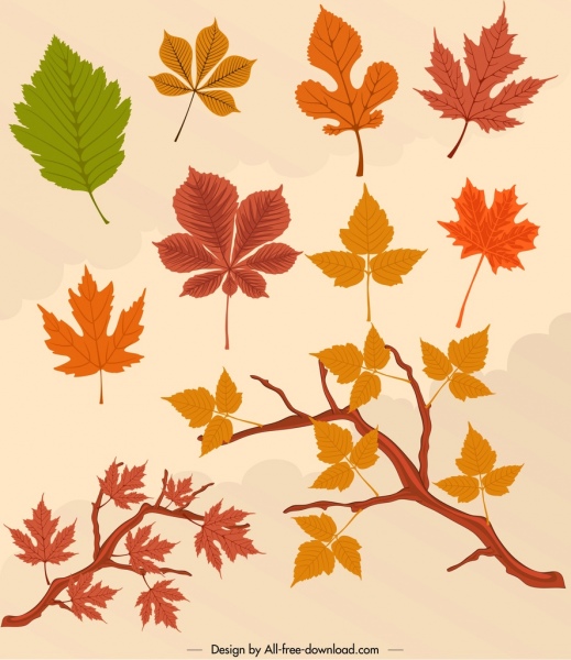 autumn design elements colored leaves icons decor