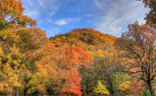 autumn forest with trees in perrot state park wisconsin 