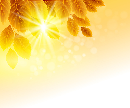 autumn golden yellow background vector