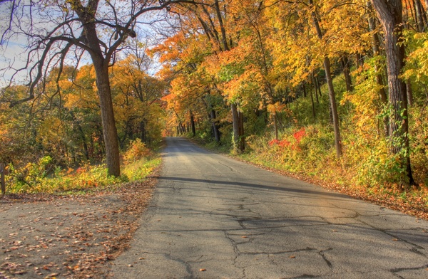 autumn landscape on the roadways at perrot state park wisconsin