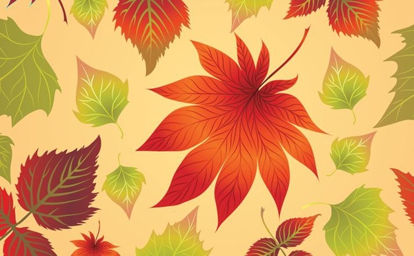 Autumn leaves background closeup colorful decoration Vectors graphic ...