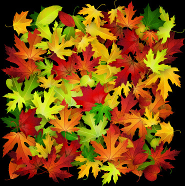autumn leaves beautiful background art