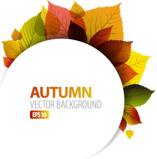 autumn leaves elements background vector set