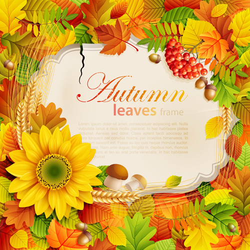 autumn leaves frame vector set