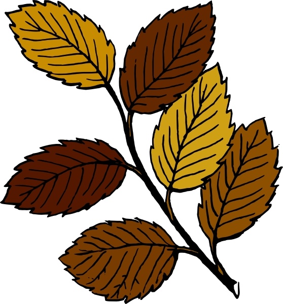 Autumn Leaves On Branch clip art