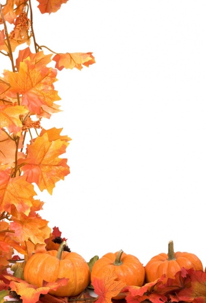 autumn leaves pumpkin picture frame 05 hd pictures 