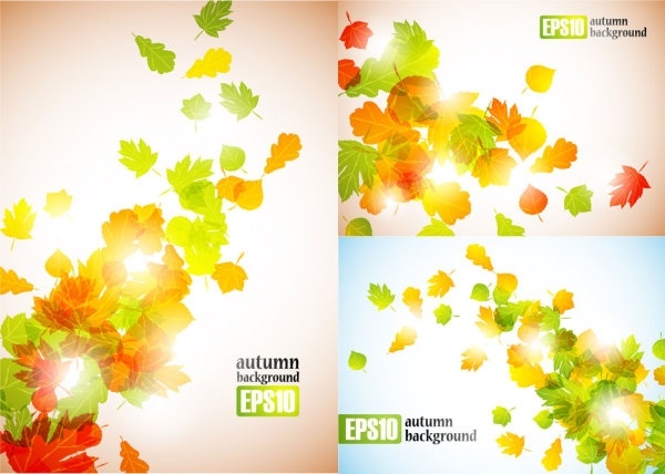 autumn leaves vector 2