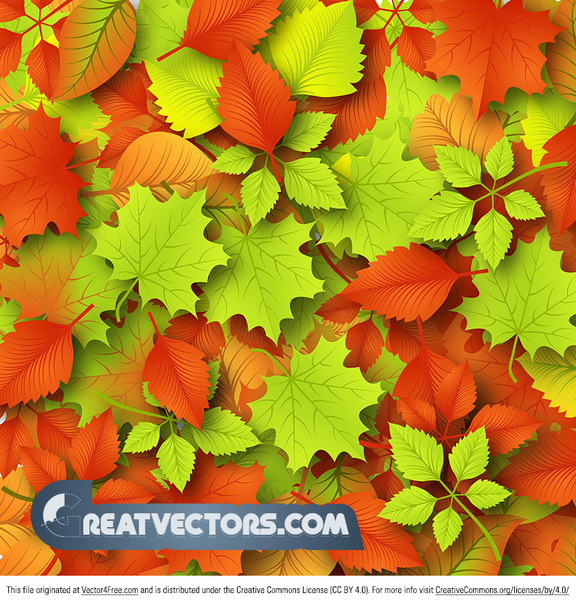 autumn leaves vector background