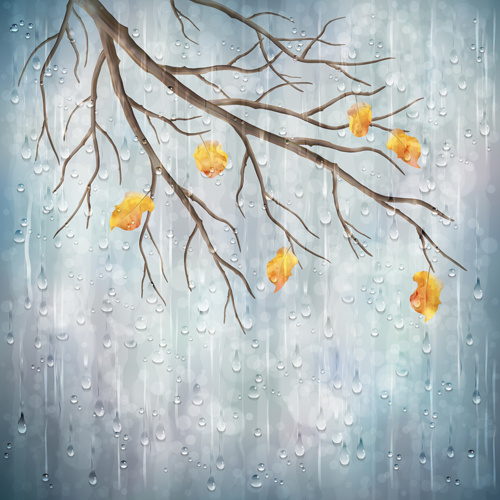 autumn leaves with raindrop vector background