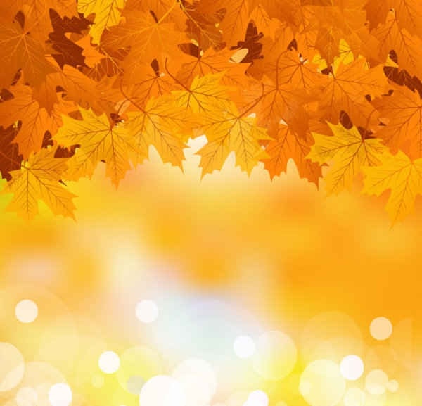 Autumn maple leaf background