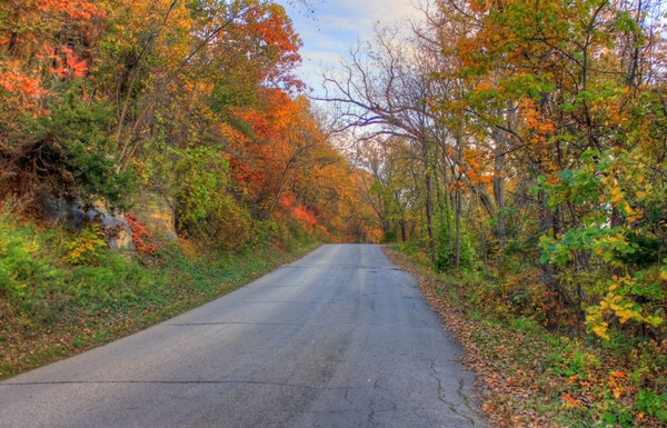 autumn road at perrot state park wisconsin 