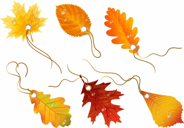 Autumnal discount. Vector fall leaves 