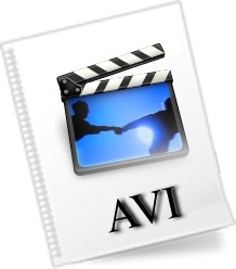 AVI File