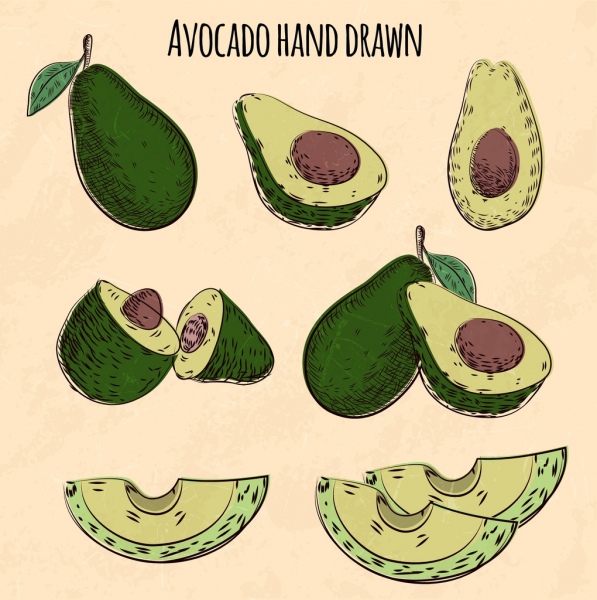 avocado icons various 3d shapes hand drawn sketch