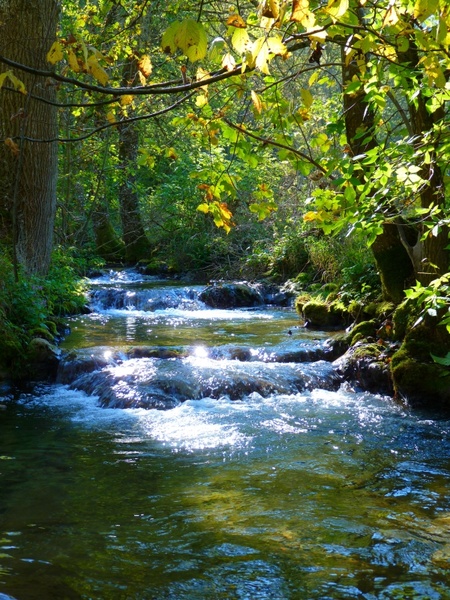 bach creek river