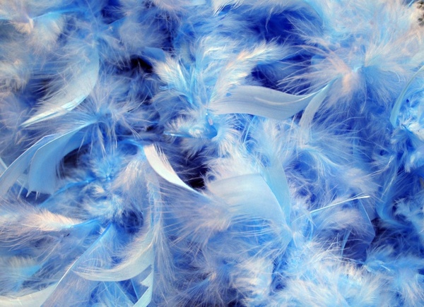 background blue feathers
