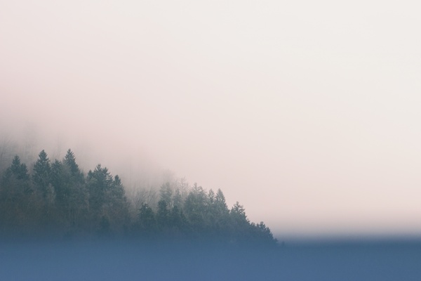 background cold fog foggy forest lake landscape