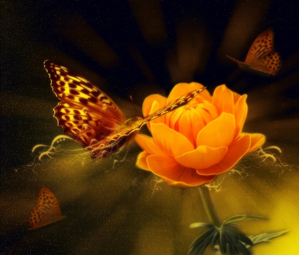 background with flower and butterfly