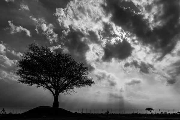backlit black and white cloud dark dramatic landscape