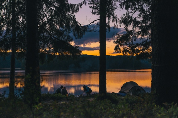 backlit conifer evening evergreen lake landscape