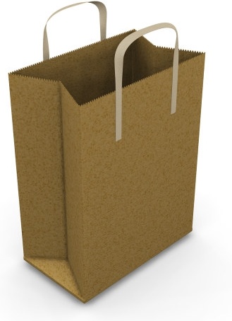 bag brown blank paper bag to highdefinition picture