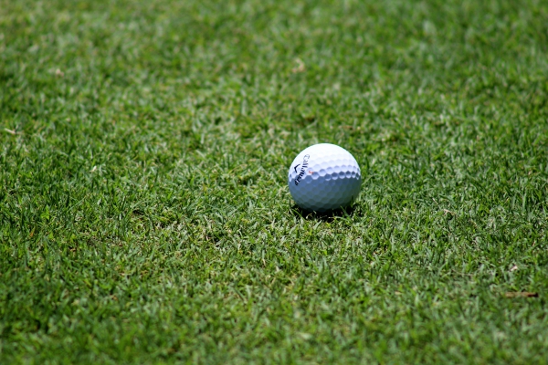 small golf ball on green course 