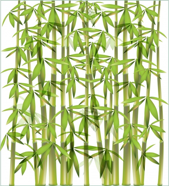 bamboo background modern bright green decor