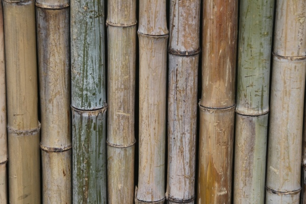 bamboo fence wall