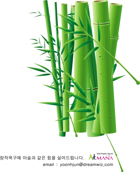 bamboo background closeup design green icon decor