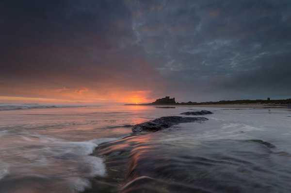 bamburgh rush