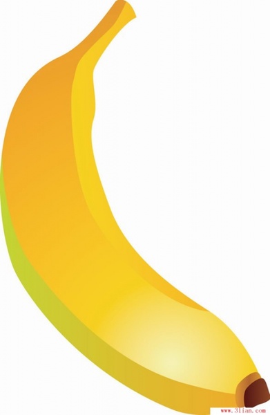 banana vector