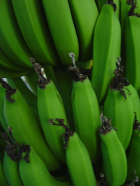 bananas close