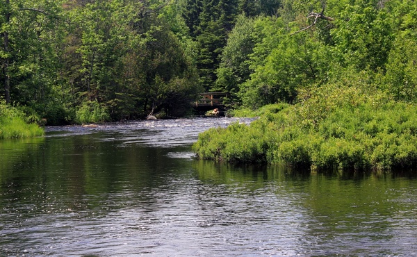 baptism river in superior national forest minnesota